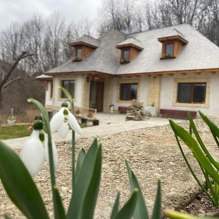 Casa Cu Sindrila Villa Vălenii de Munte Dış mekan fotoğraf