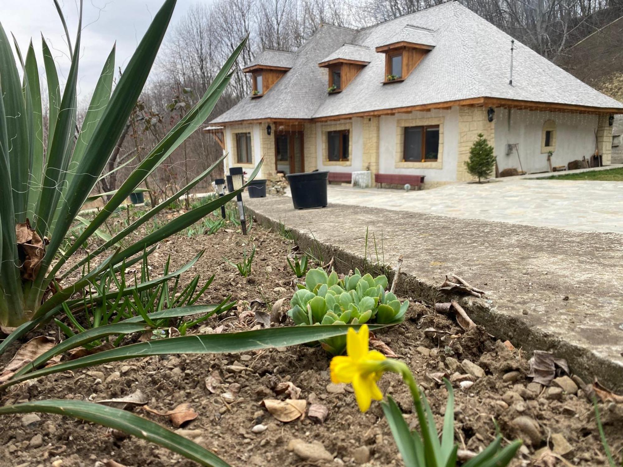 Casa Cu Sindrila Villa Vălenii de Munte Dış mekan fotoğraf