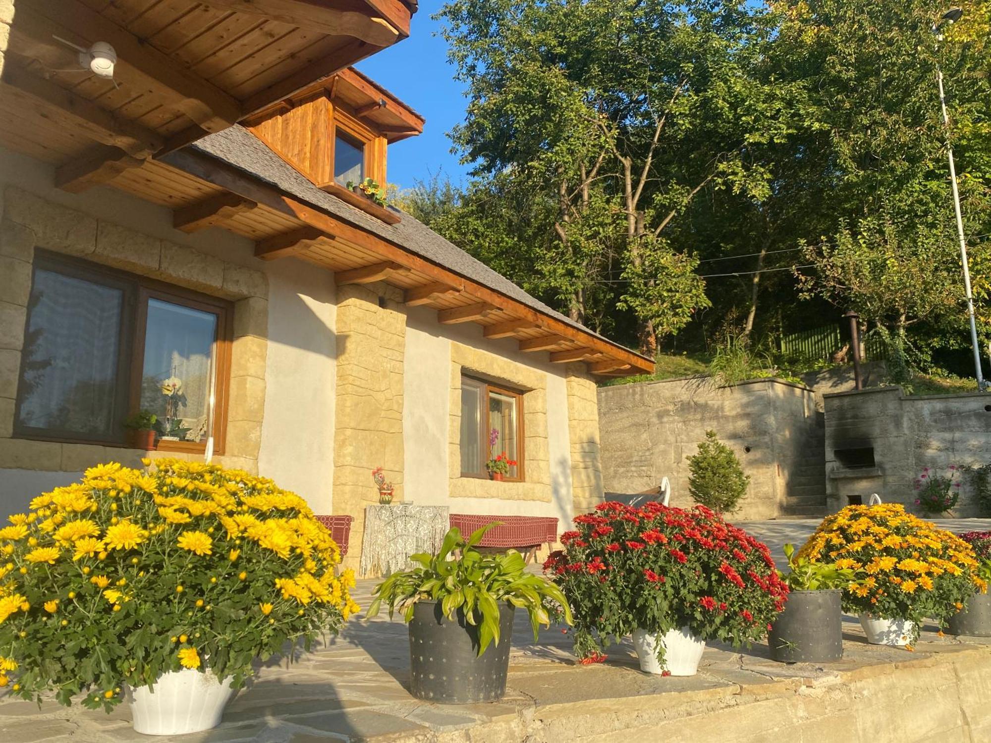 Casa Cu Sindrila Villa Vălenii de Munte Dış mekan fotoğraf