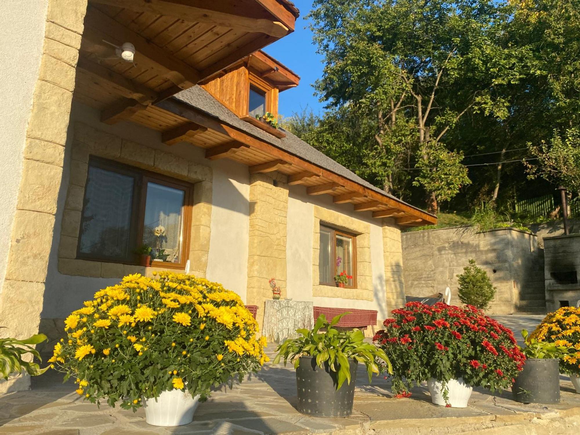 Casa Cu Sindrila Villa Vălenii de Munte Dış mekan fotoğraf