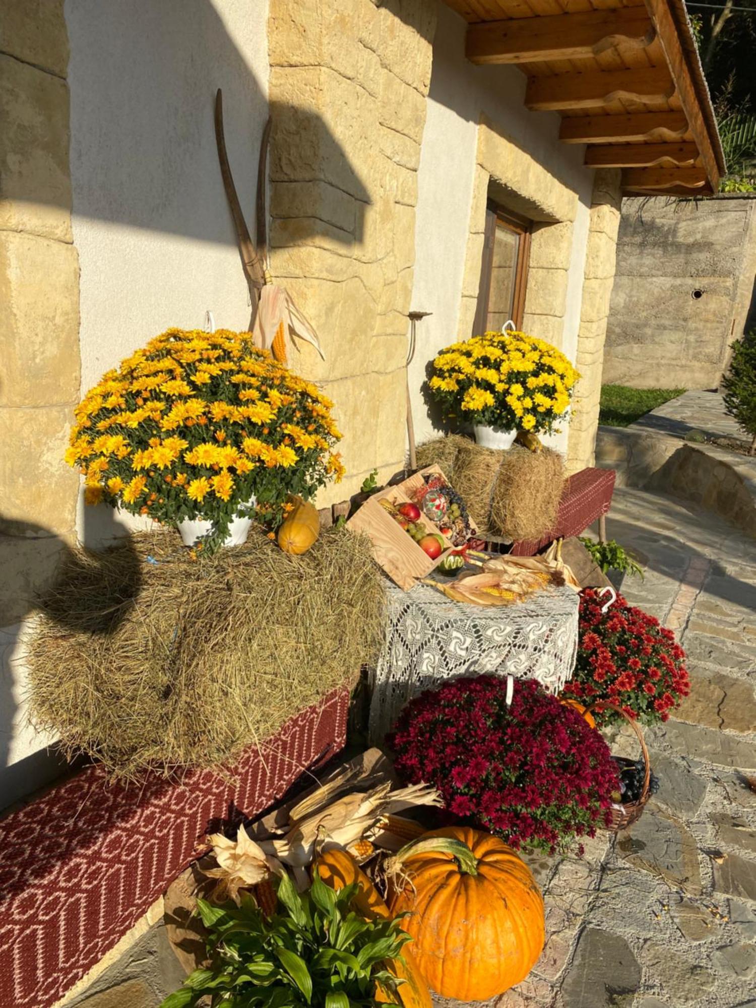 Casa Cu Sindrila Villa Vălenii de Munte Dış mekan fotoğraf
